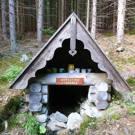 Lyžařská škola Penzion Kubova Huť