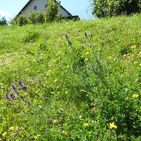 Penzion Lyžařská škola